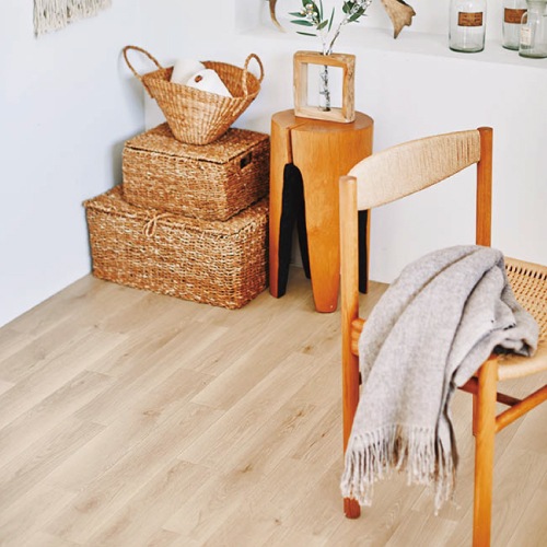 ��� CF8501��CF8510 ���å����ե���(CF) CF������-SD �׷�ۼ�3.5�и� 10�� �����ȥ��쥯�����CF2021-2024�ʹ���ñ�̡�m��