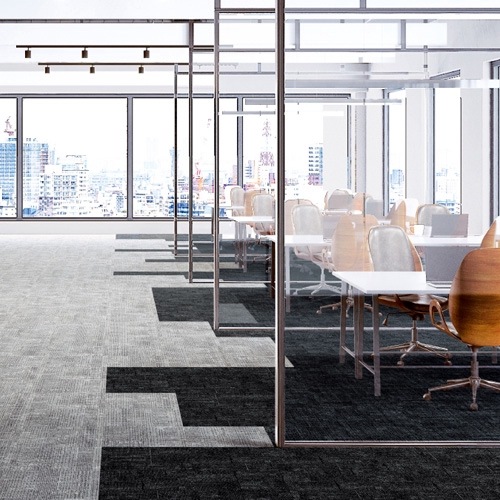 �����ڥåȥ����� ���󥲥� NTP-7100 D-eco �������ץץ졼�� D 6�� NTP-71001��NTP-71006 2023-2026 NT 700 ������ñ�̡���������