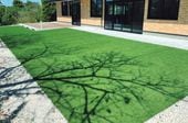 サンゲツ 人工芝 ここちターフ30 レジデンシャル 10m（購入単位：本）