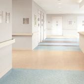 サンゲツ 発泡複層ビニル床シート 無地 10色 SK-24447〜SK-24456 S FLOOR 2025-2027 施設用 SKフロア プレーン（購入単位：本） 1本(1巻)最大9m|その他長尺シ