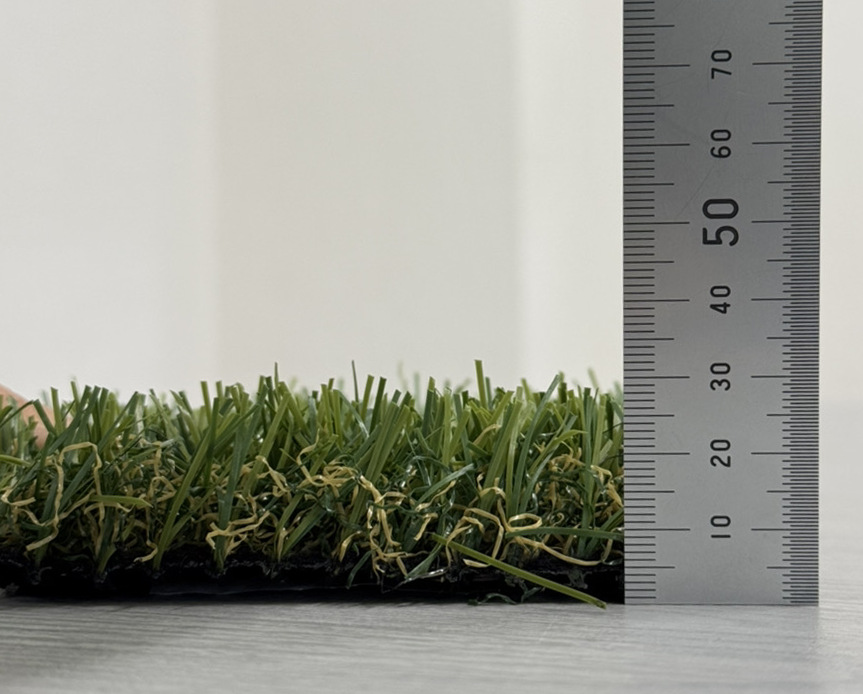 եƥ RT-25 ʪ͹ǡ5/10 顼꡼󡡡̵ץ뤢