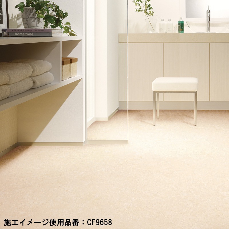 ���å����ե���(CF) ��� CF2M9656��CF2M9658 CF������-H  ����Ĵ 2�� 2024-2027 �ʹ���ñ�̡��ܡ� 1��(1��)����18m