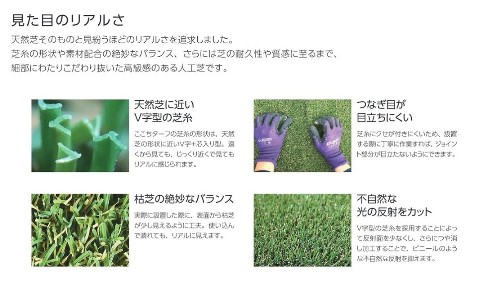 󥲥 ͹ 30 쥸ǥ󥷥 10mʹñ̡ܡ