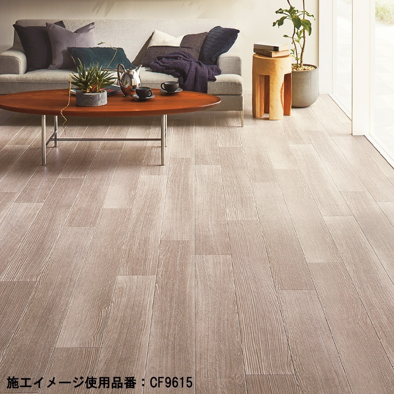 ���å����ե���(CF) ��� CF9601��CF9619 CF������-H  ����Ĵ 19�� 2024-2027 �ʹ���ñ�̡��ܡ� 1��(1��)����20m