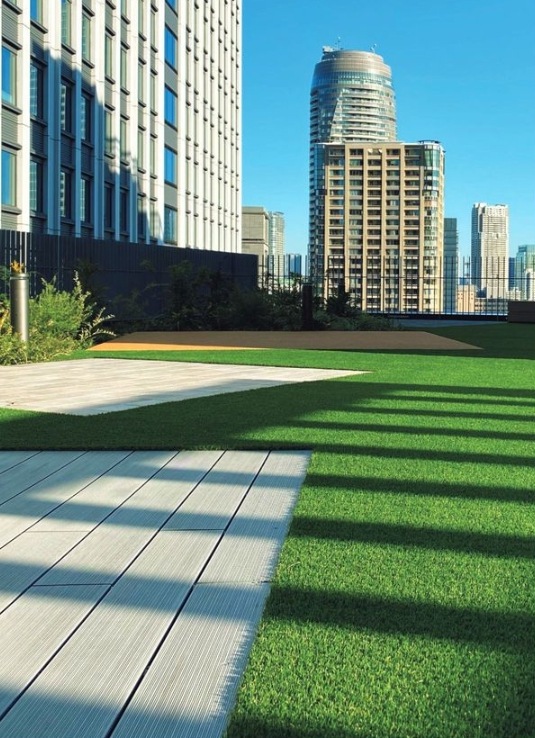 󥲥 ͹ 52 ȥ饯 10mʹñ̡ܡ