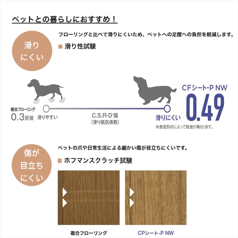 ���å����ե���(CF) ��� CF3738��CF3752 CF������-P NW  ����Ĵ�������� 15�� 2024-2027 �ʹ���ñ�̡��ܡ� 1��(1��)����13m