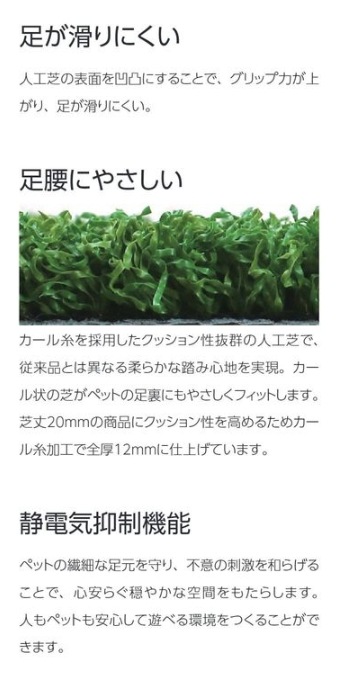 󥲥 ͹ 12 ڥå 10mʹñ̡ܡ