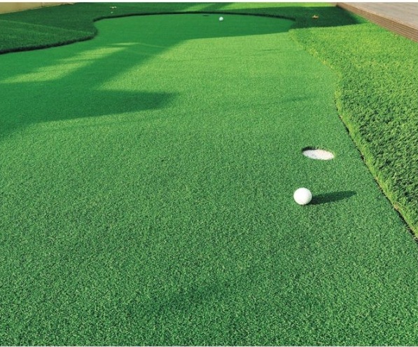 󥲥 ͹ 12 ꡼ 10mʹñ̡ܡ