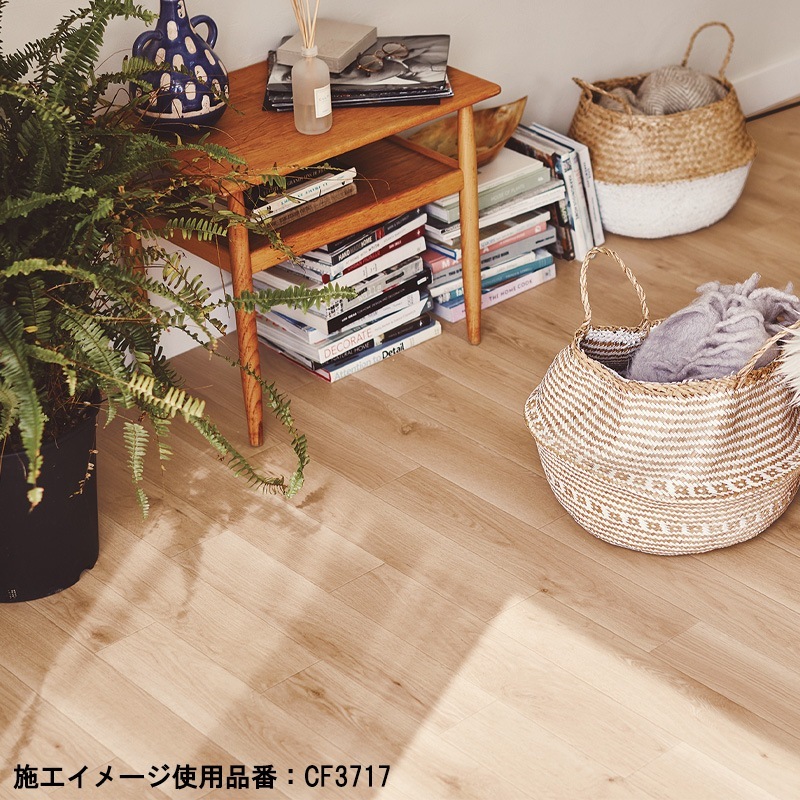 ���å����ե���(CF) ��� CF3701��CF3721 CF������-P NW  ����Ĵ 21�� 2024-2027 �ʹ���ñ�̡��ܡ� 1��(1��)����13m