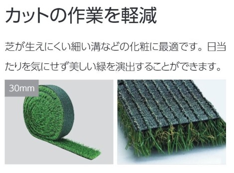 󥲥 ͹  åȡʹñ̡ܡ