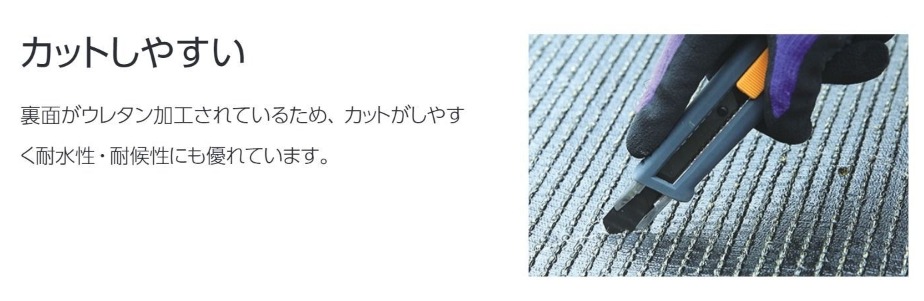 󥲥 ͹  顼 30 12ʹñ̡ܡ