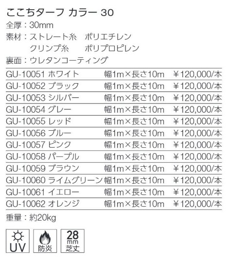 󥲥 ͹  顼 30 12ʹñ̡ܡ