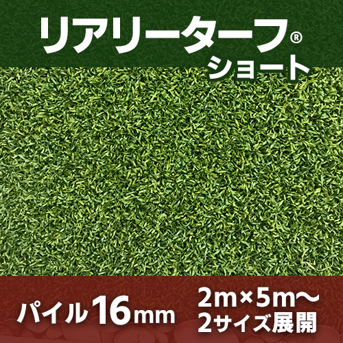 ꥢ꡼&#174;硼ȡ16mm͹ǡ꡼եɡ2m5m2m2.5m