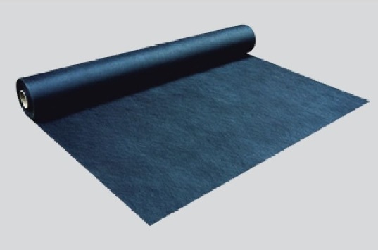 󥲥  ̩𥷡  ͹ 1m Ĺ50ʹñ̡ܡ