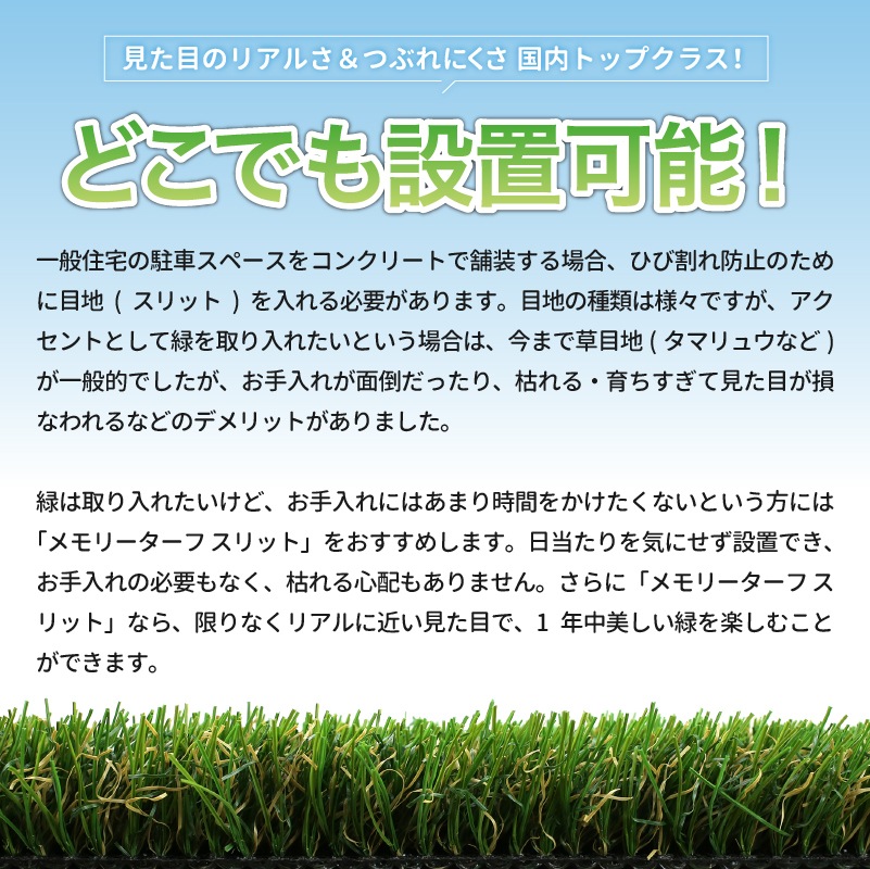 ˥ӥ ꡼??å ͹ ʹñ̡