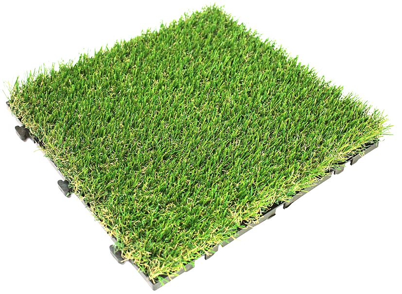 ˥ӥ ꡼?? ͹ǡʹñ̡Ȣ