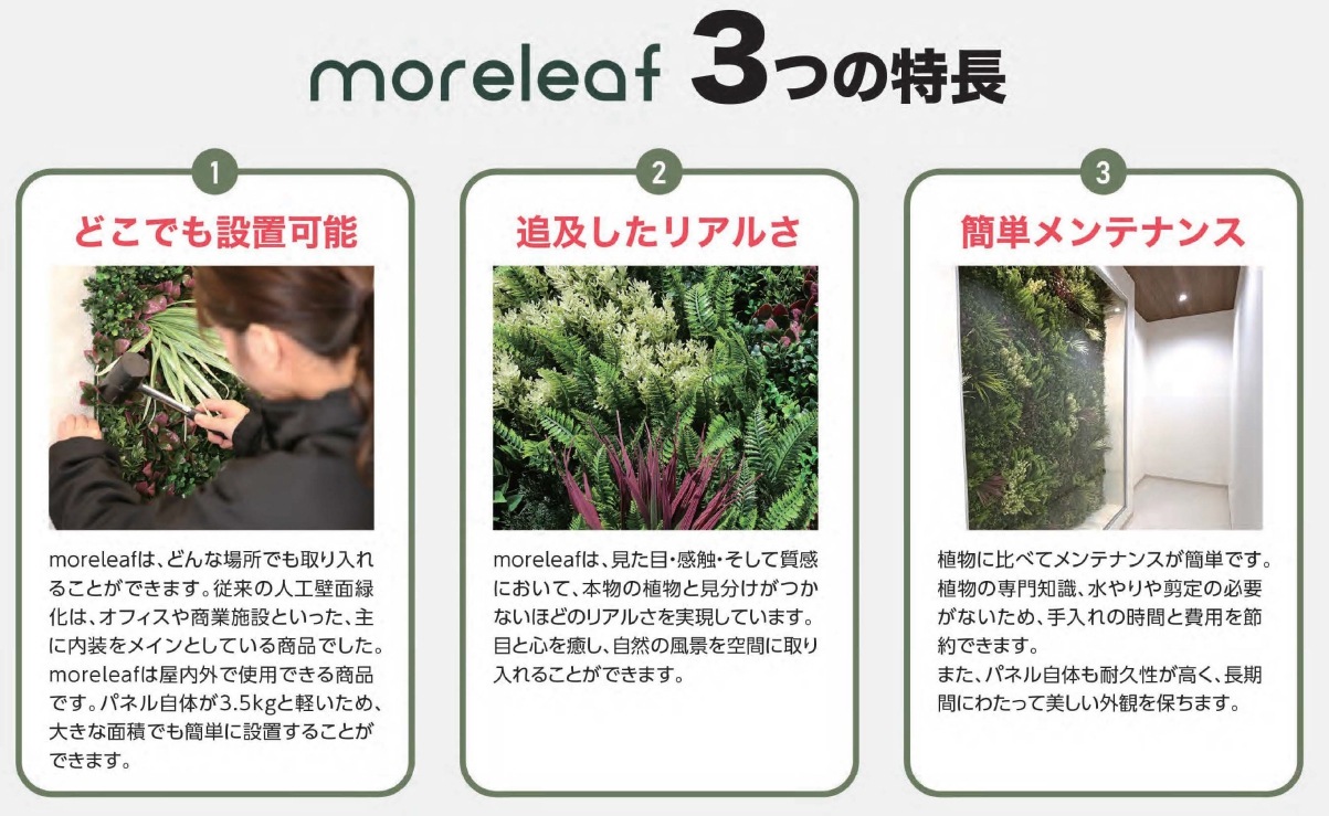 ˥ӥ moreleaf  ͹вѥͥ ⥢꡼ oriental[C]ʹñ̡åȡ