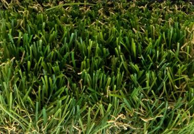 ��ꥫ�� �͹��� �ȥ襰�饹 �ץ�ߥ���35 TG-88505 ��100cm ��10m�������