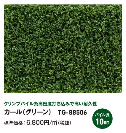 ��ꥫ�� �͹��� �ȥ襰�饹 ������ʥ��꡼��� TG-88506 ��100cm ��10m�������