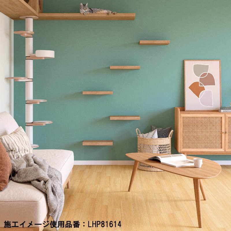 ꥫ Ĵ Ĵ 13 LHP81611LHG81623 2025-2028 åե ʹñ̡ܡ 1(1)9m