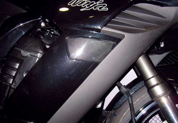 40%OFF 【Ninja1000('11-'16)】 フロントウィンカーカバー ※レース車用