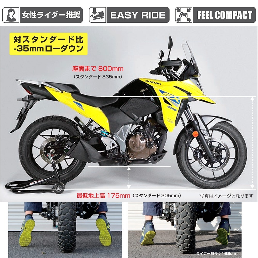 V-STROM250SX (23-) NITRONリアサス MONOショック NTR R1