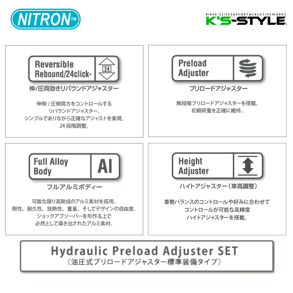 V-STROM250SX (23-) NITRONリアサス MONOショック NTR R1