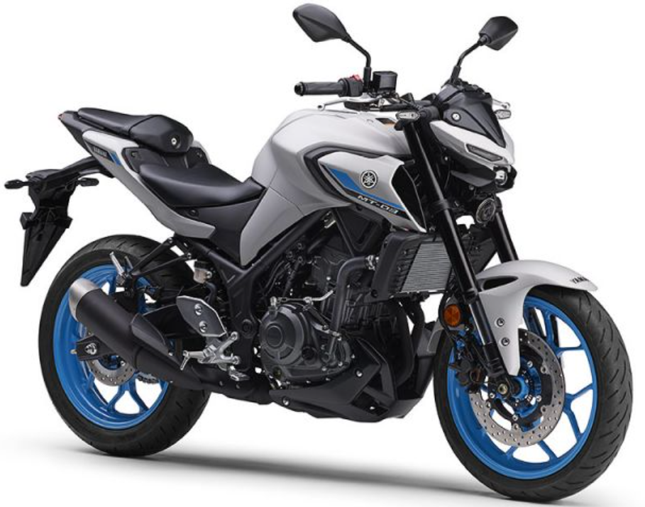 MT-25 / MT03 低反発ローシート [-10mm]