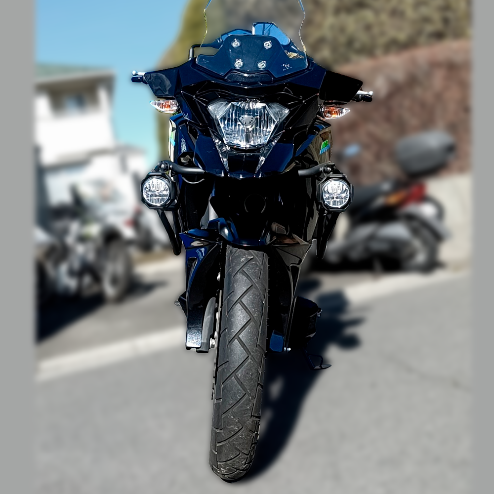 Versys-X250用('17-) スプラッシュガード 【未塗装】