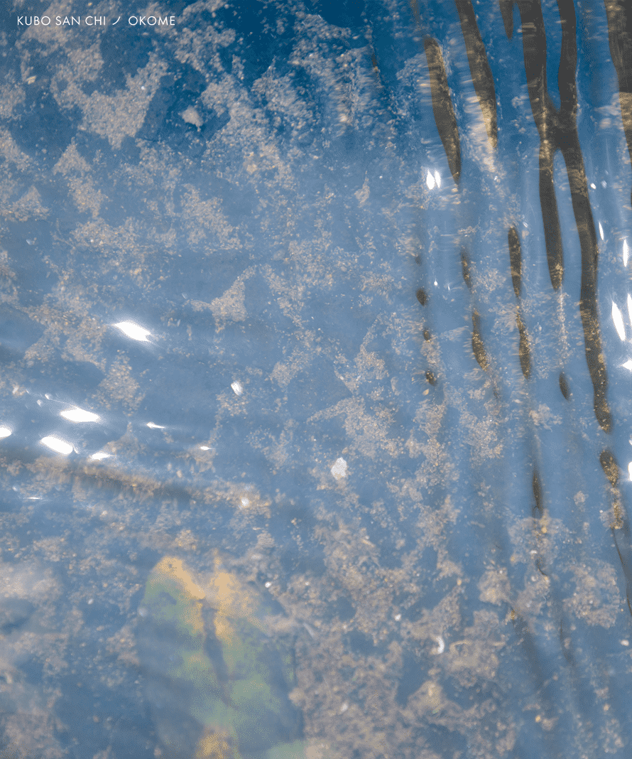 ヒノヒカリ（玄米）１０ｋｇ