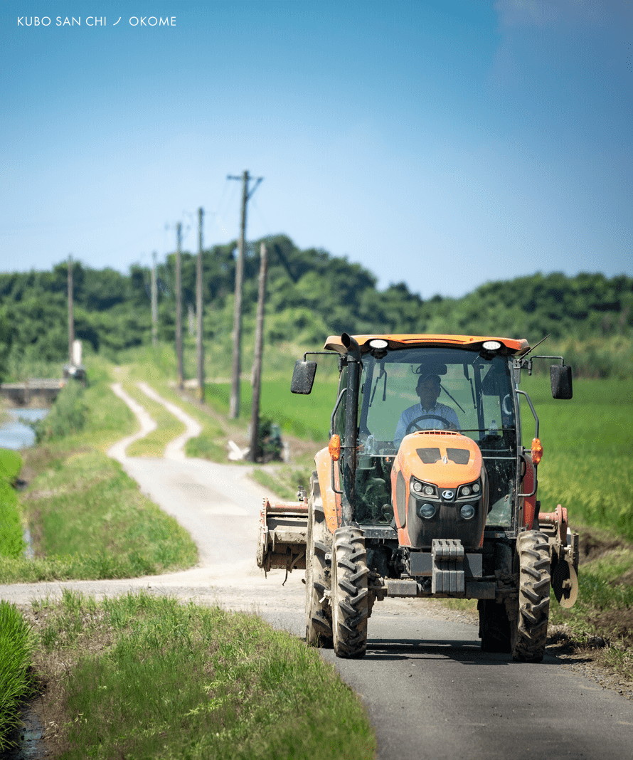 玄米　真空パック　5ｋｇ×3
