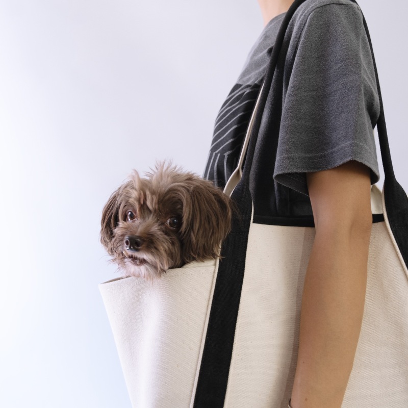 BURBERRYペットキャリー バーバリー ペットキャリーバッグ 美品