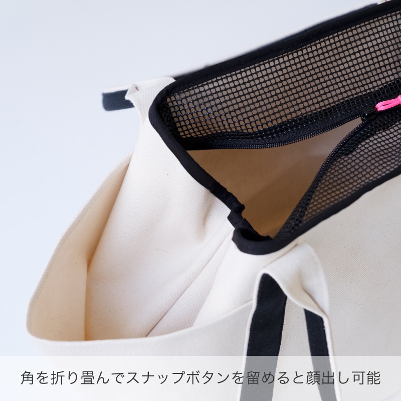 �������ǭ������ѥ���꡼�Хå� ��ȡ��ȥ����ס�