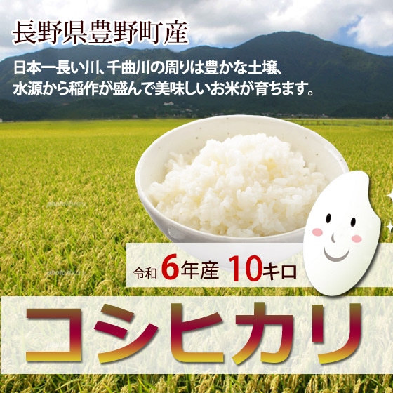 コシヒカリ 長野県豊野町 A地区のお米 10キロ 「R6年産」 10月20