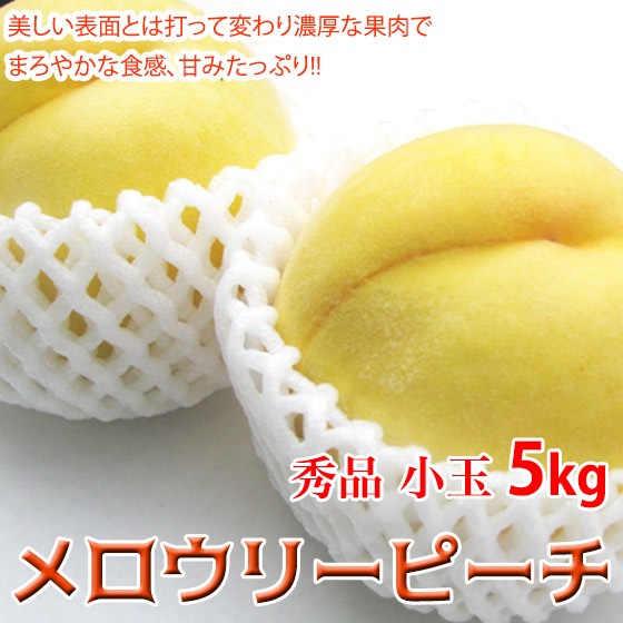 ꡼ԡ 5kg 18-22  