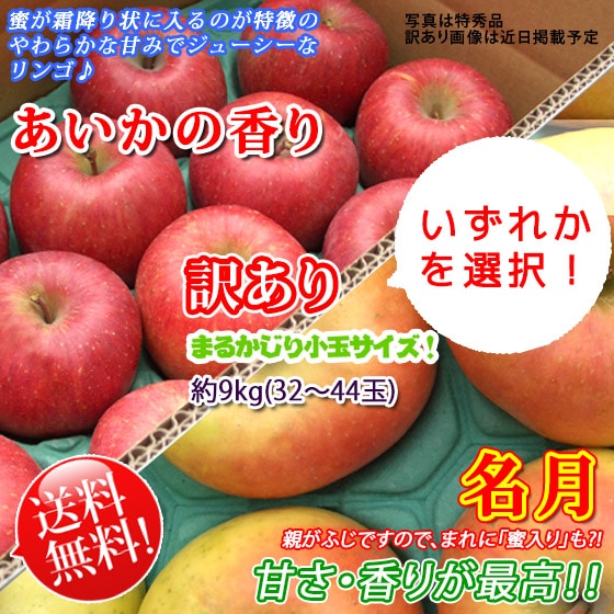 りんご@プロフ必読 様専用ページ ⭐︎りんご※プロフィール必読 様専用