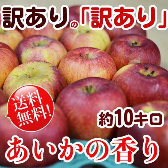 �������ι�� ��10kg [����̵��] ������Ρ�������� �����礭��¿�� �����ꡪ