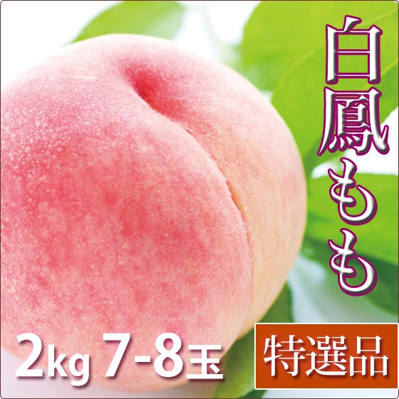 ˱  渵 ե롼  2kg 7-8