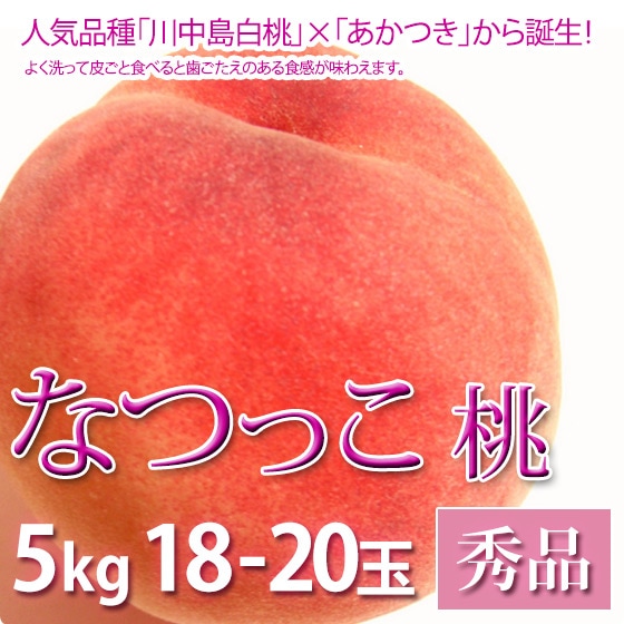 �ʤĤä� �� ���渵 �ե롼�� ���� 5kg 18-20������