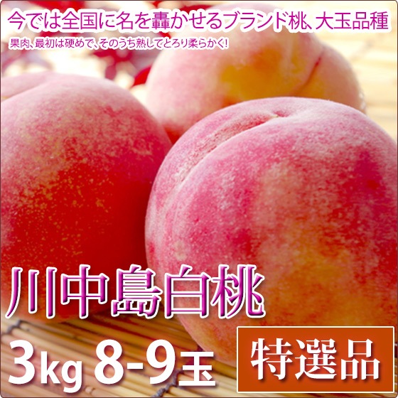 ���������� �� ���渵 �ե롼�� ������ 3kg 8-9������