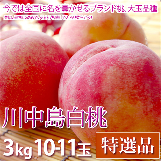   渵 ե롼  3kg 10-11