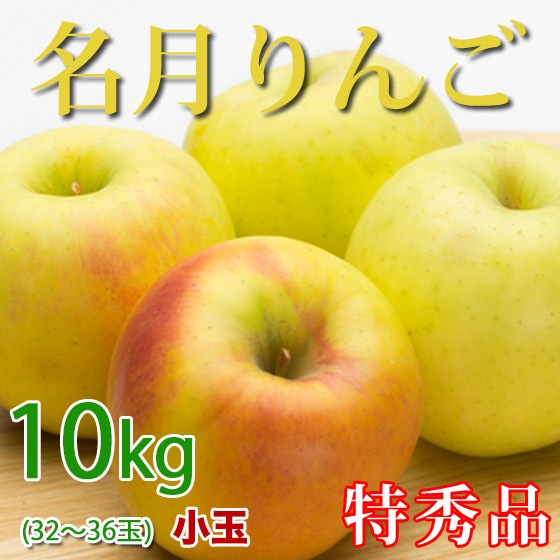 ̾���� Ĺ��� 10kg �ý� ���� 32-36�� �������