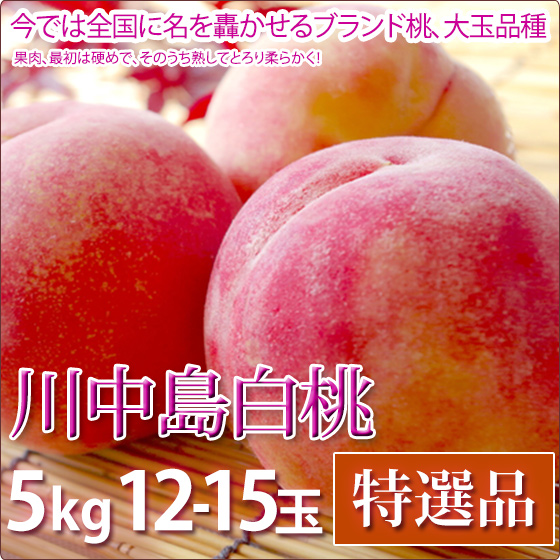 ���������� �� ���渵 �ե롼�� ������ 5kg 12-15������