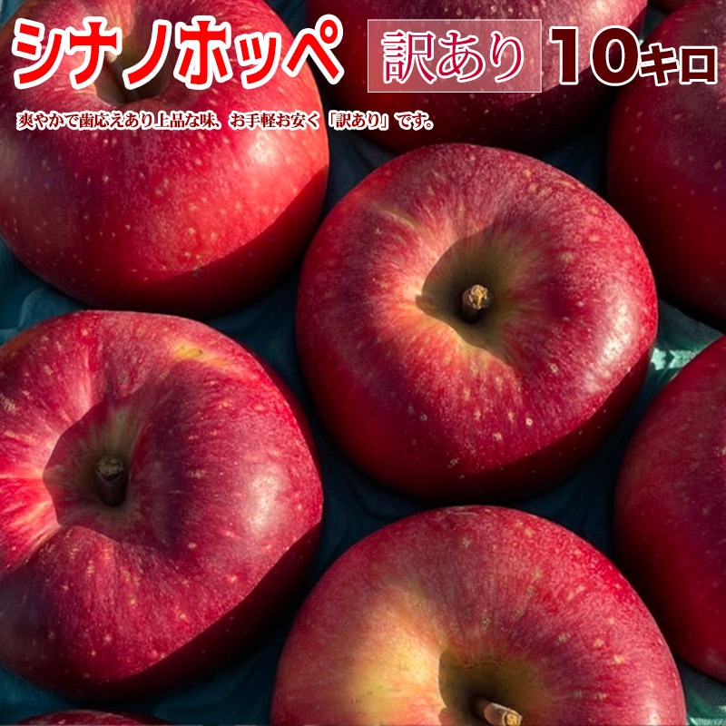 ���ʥΥۥå� ������ 10kg Ĺ��� �Ť��̽�����������ä��� ���������� �֤䤫�ʥ�� ����̵��
