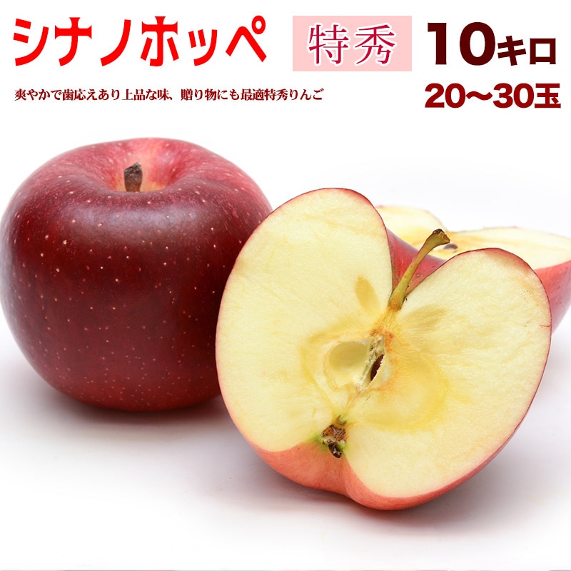 ���ʥΥۥå� �ý� 10kg 20��30�� Ĺ��� �Ť��̽�����������ä��� ���������� �֤䤫�ʤ��