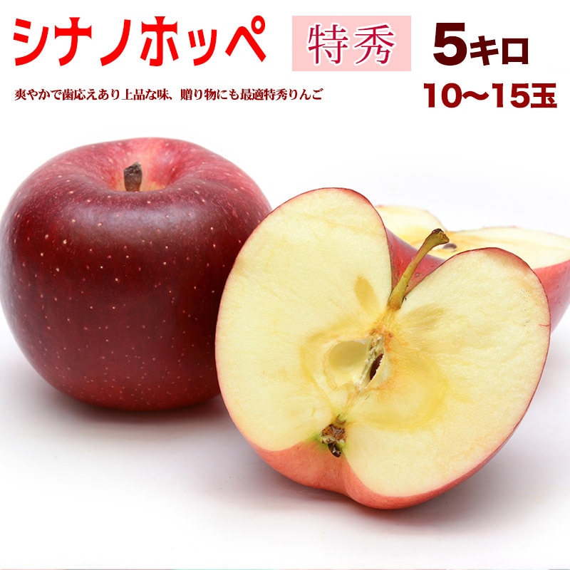 ʥΥۥå ý 5kg 1015 Ĺ Ť̽ä  ֤䤫ʥ