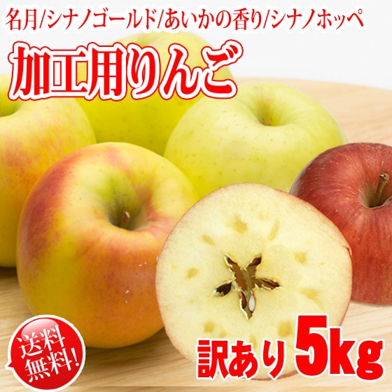 パナ様　　シナノゴールド　他固いリンゴ５キロ加工4.8キロ位　リクエスト 正直人気はないですが旨いです！ 】シナノゴールド5キロ箱 訳あり品