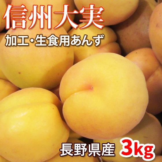 あんず 信州大実 加工・生食用あんず 3キロ 7月中旬開始予定
