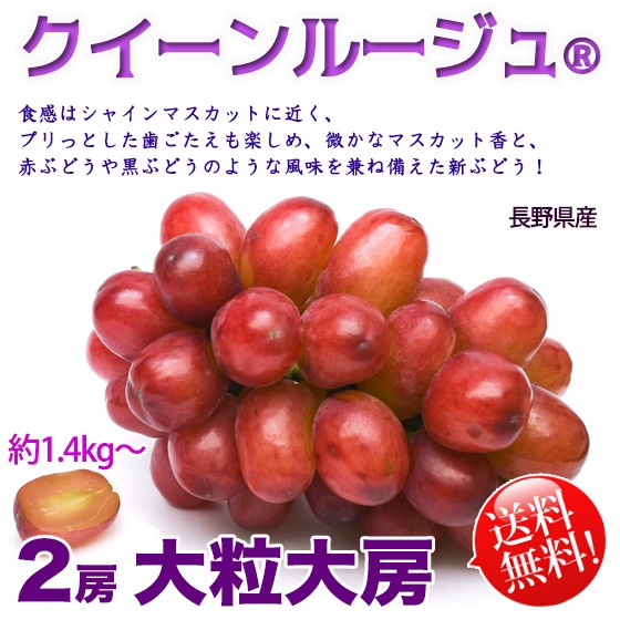 riritan 617様ご確認用です