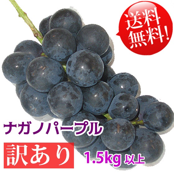 ナガノパープル家庭用 税込送料無料 2kg4-5房 30箱限定品